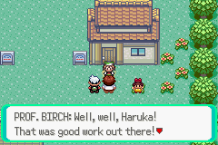 screenshots/Game Boy Advance/Pokemon - Emerald - Ruby - Sapphire/Pokemon Emerald (Eng) 089.png